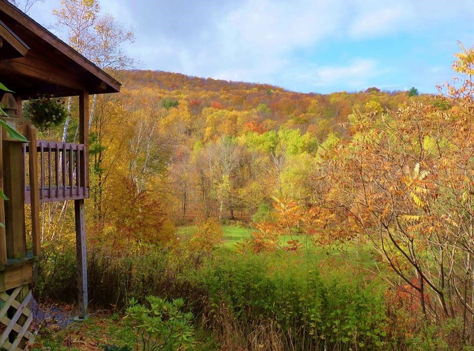 56 Mountain Road Middletown Springs, VT 05757 - Photo 39 of 49 Gallery Image 39