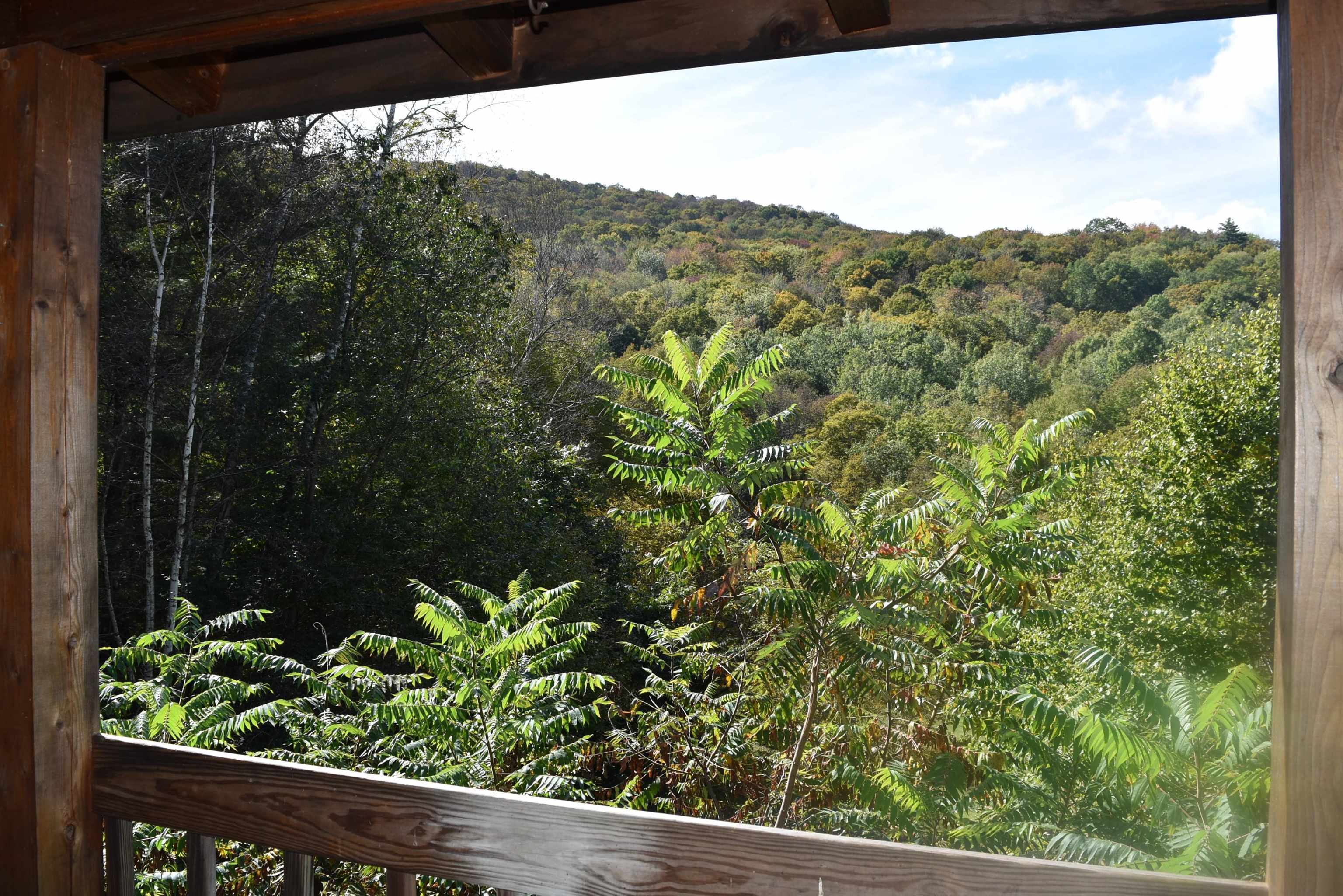 56 Mountain Road Middletown Springs, VT 05757 - Photo 40 of 49 Gallery Image 40