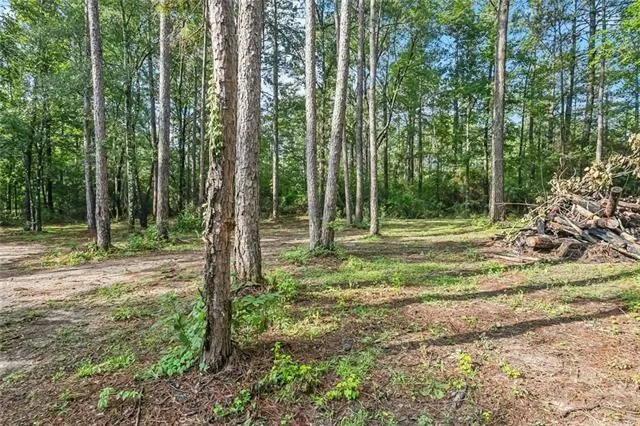 $189,900 | 18065 Back Ridge Road, Amite, LA 70422