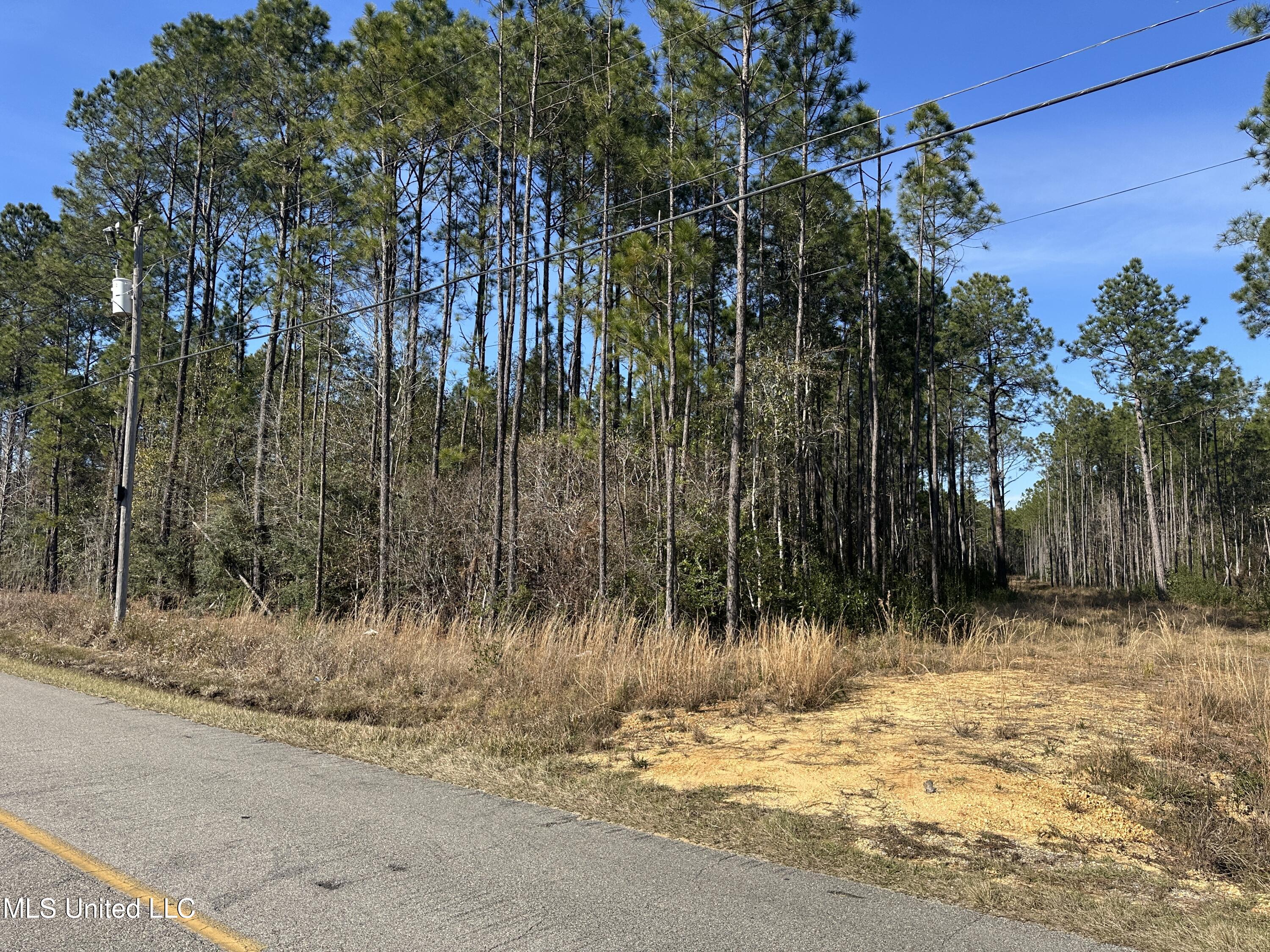 0 Mennonite Road Gulfport, MS 39503 - Photo 2 of 9 IMG_2447