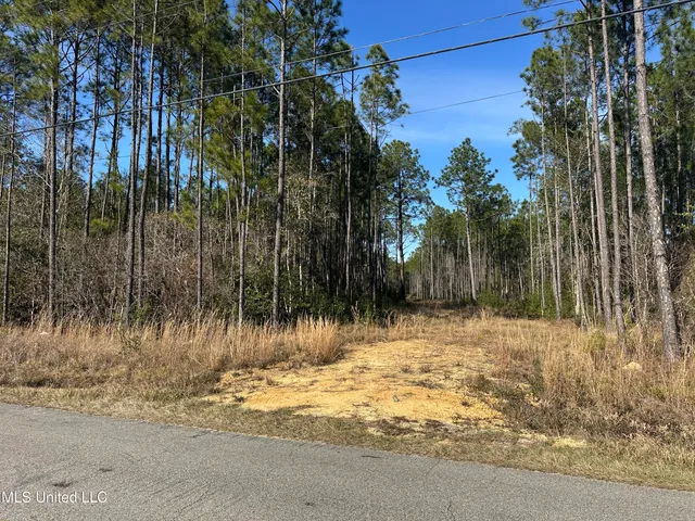 $120,000 | 0 Mennonite Road, Gulfport, MS 39503