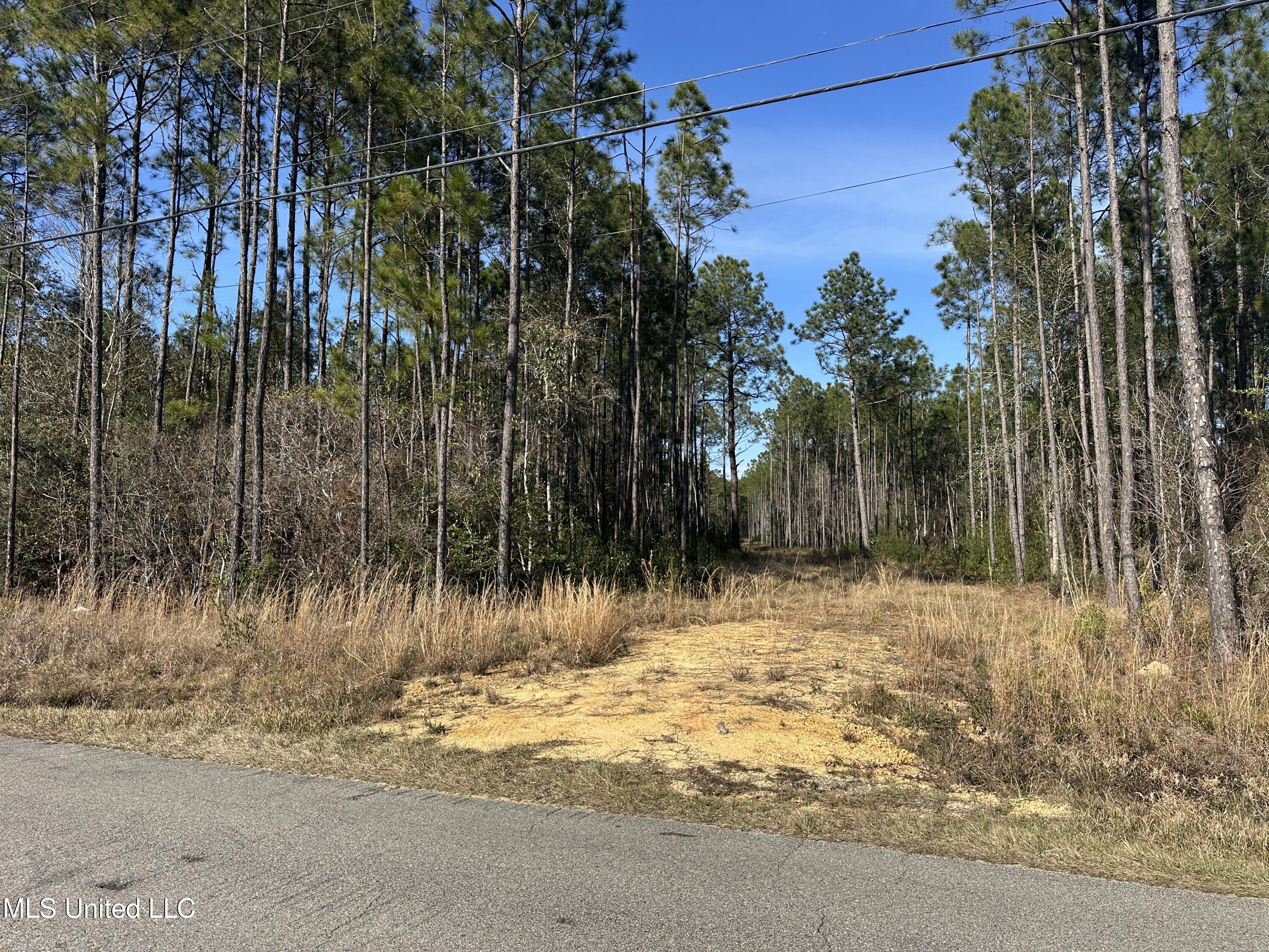 0 Mennonite Road Gulfport, MS 39503 - Photo 3 of 9 IMG_2446