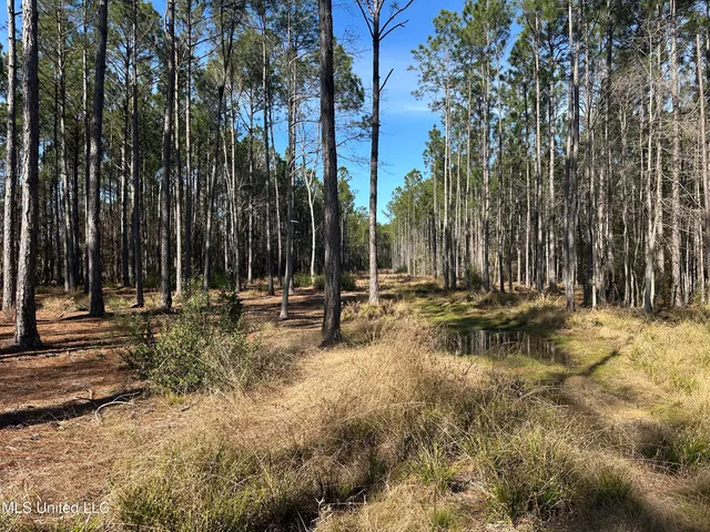 $120,000 | 0 Mennonite Road, Gulfport, MS 39503