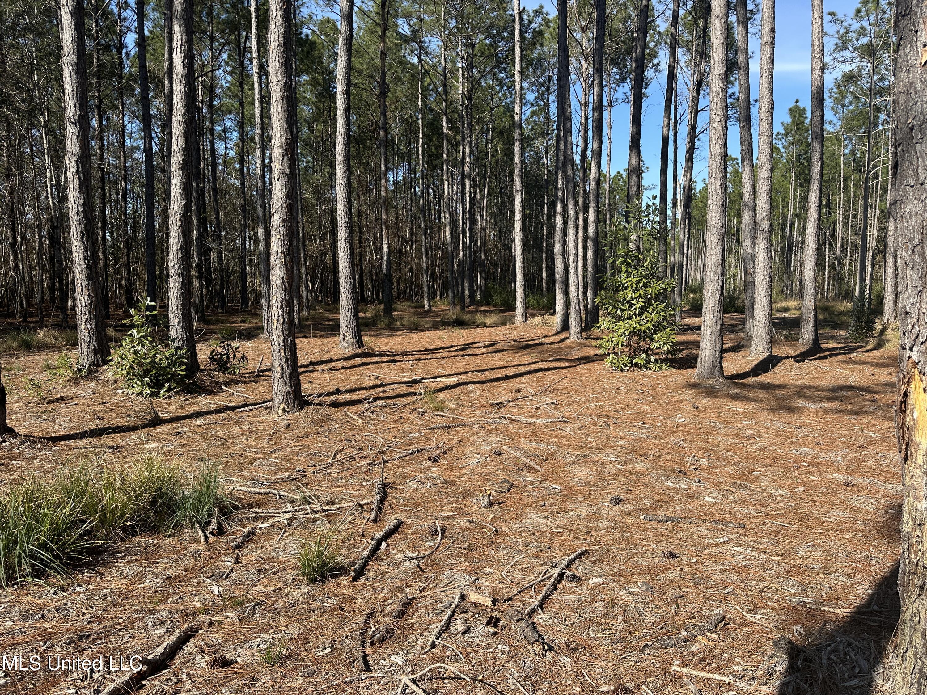 0 Mennonite Road Gulfport, MS 39503 - Photo 5 of 9 IMG_2444