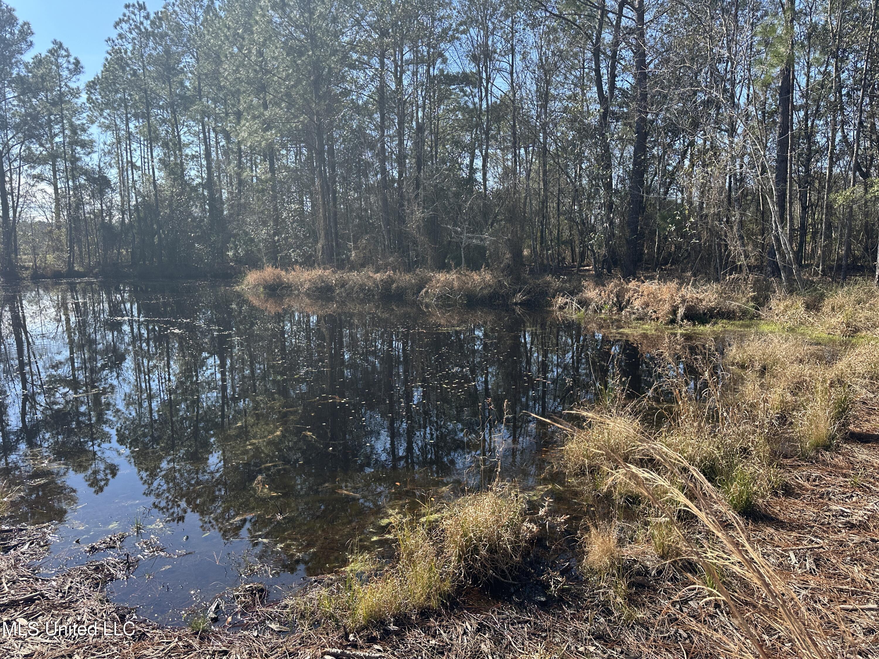 0 Mennonite Road Gulfport, MS 39503 - Photo 6 of 9 IMG_2443