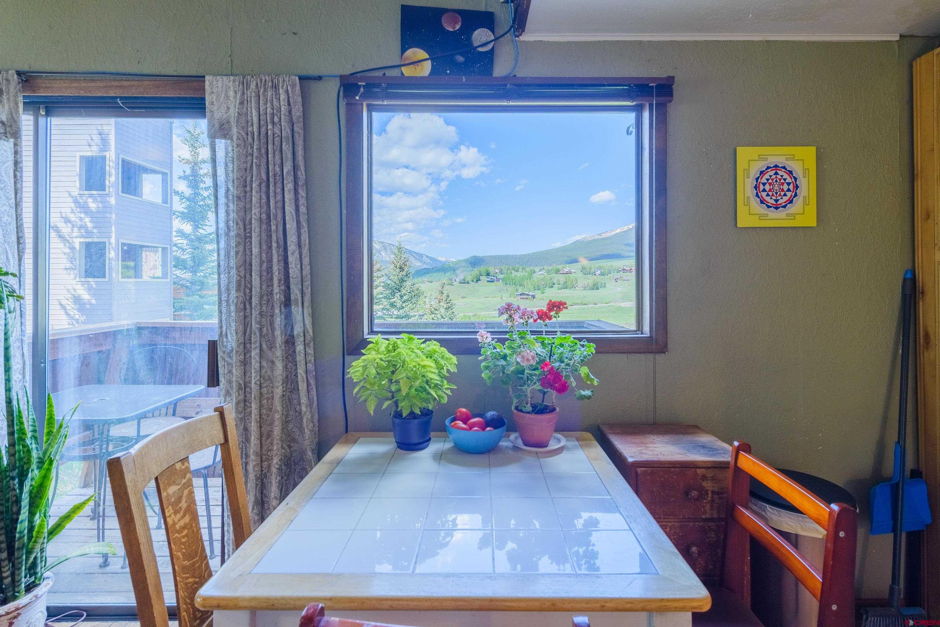31 Castle Road, Unit 6 Crested Butte, CO 81225 - Photo 6 of 17