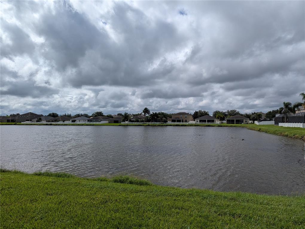13428 Graham Yarden Drive Riverview, FL 33579 - Photo 15 of 15 a view of a lake from a yard