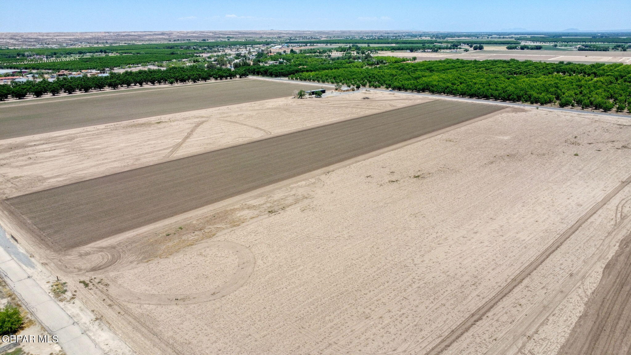 7038 McNutt Road Anthony, NM 88021 - Photo 11 of 21