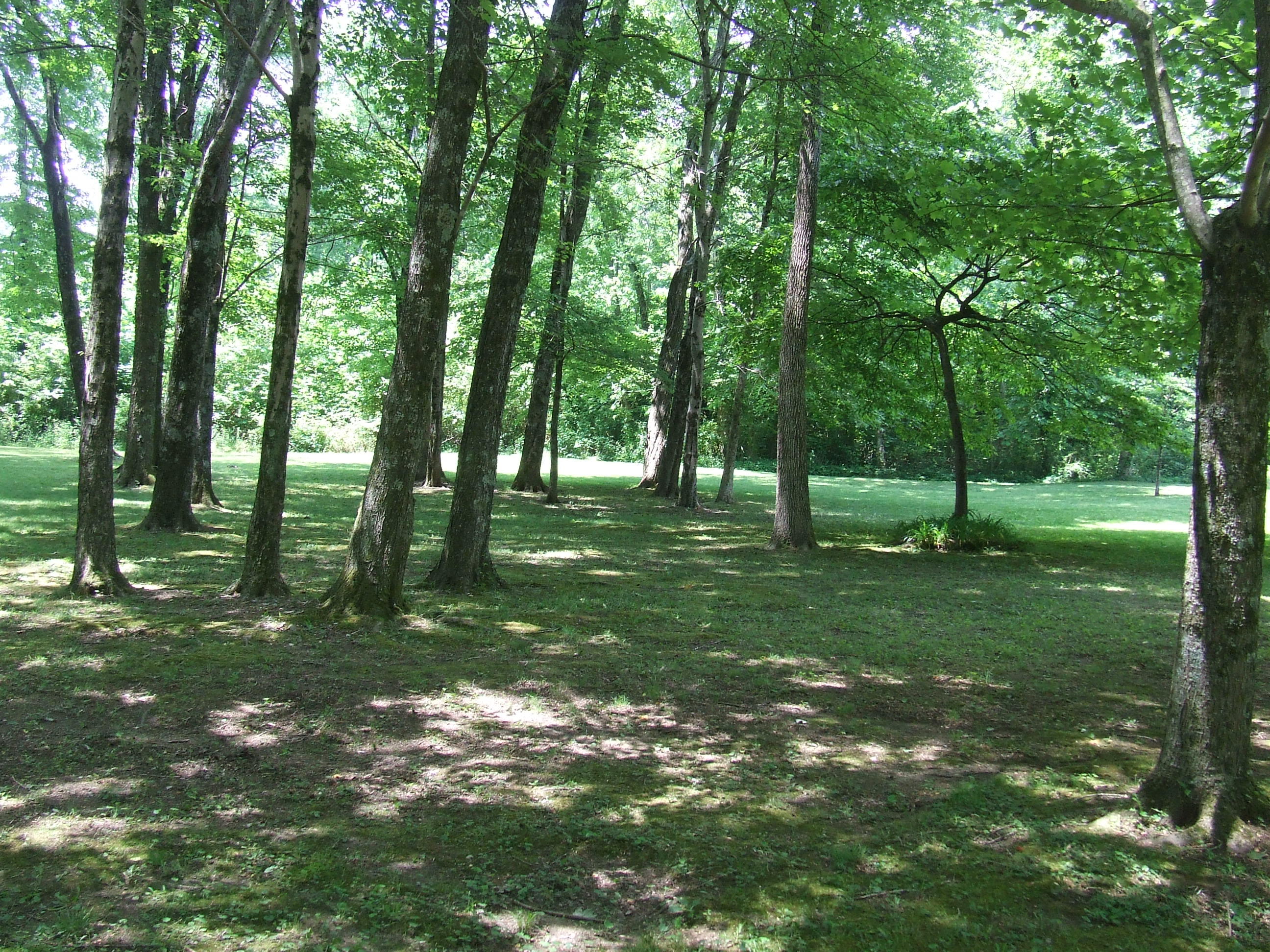0 Ogden Road Dayton, TN 37321 - Photo 25 of 35 DSCF6764