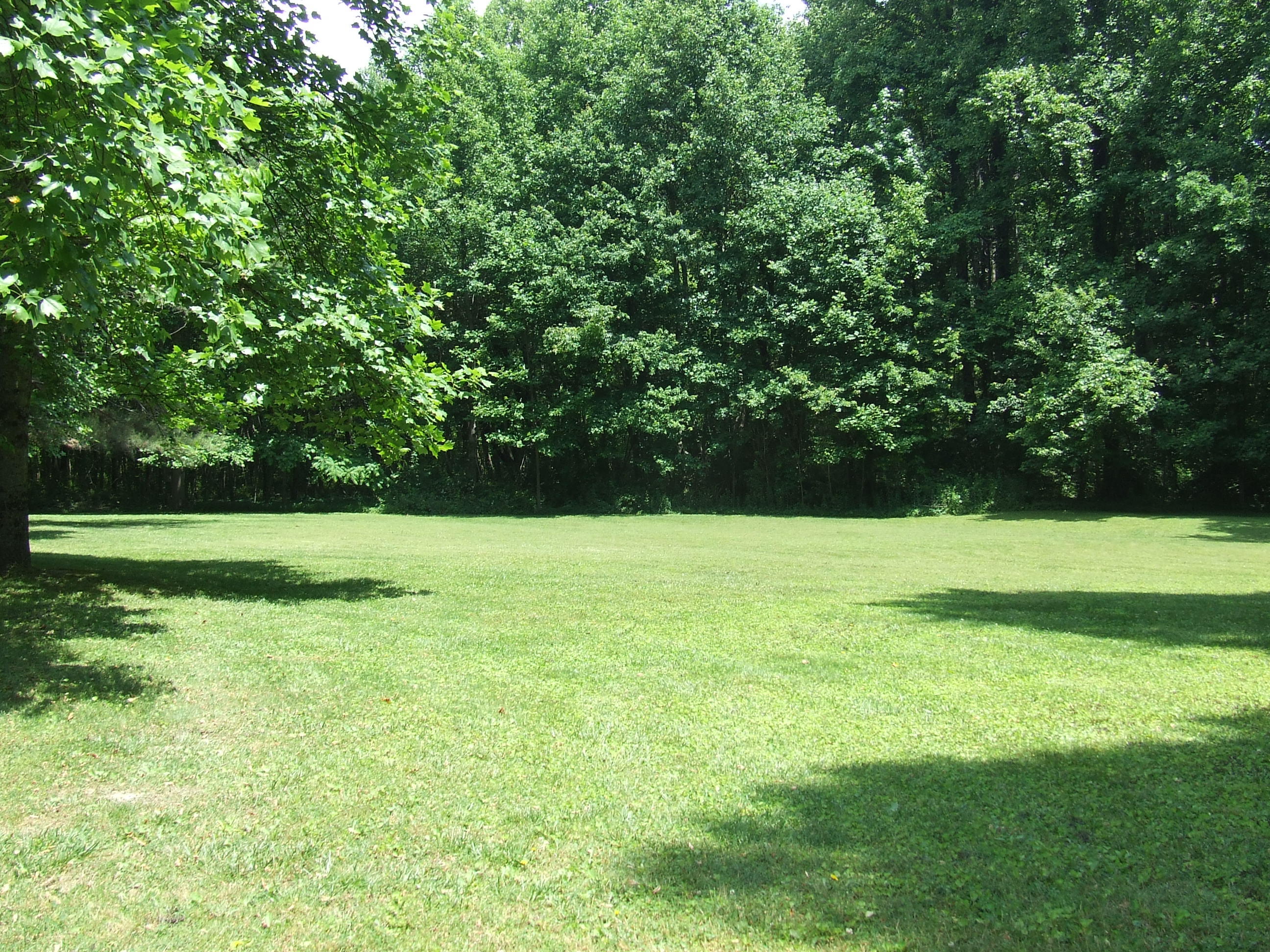 0 Ogden Road Dayton, TN 37321 - Photo 26 of 35 DSCF6768