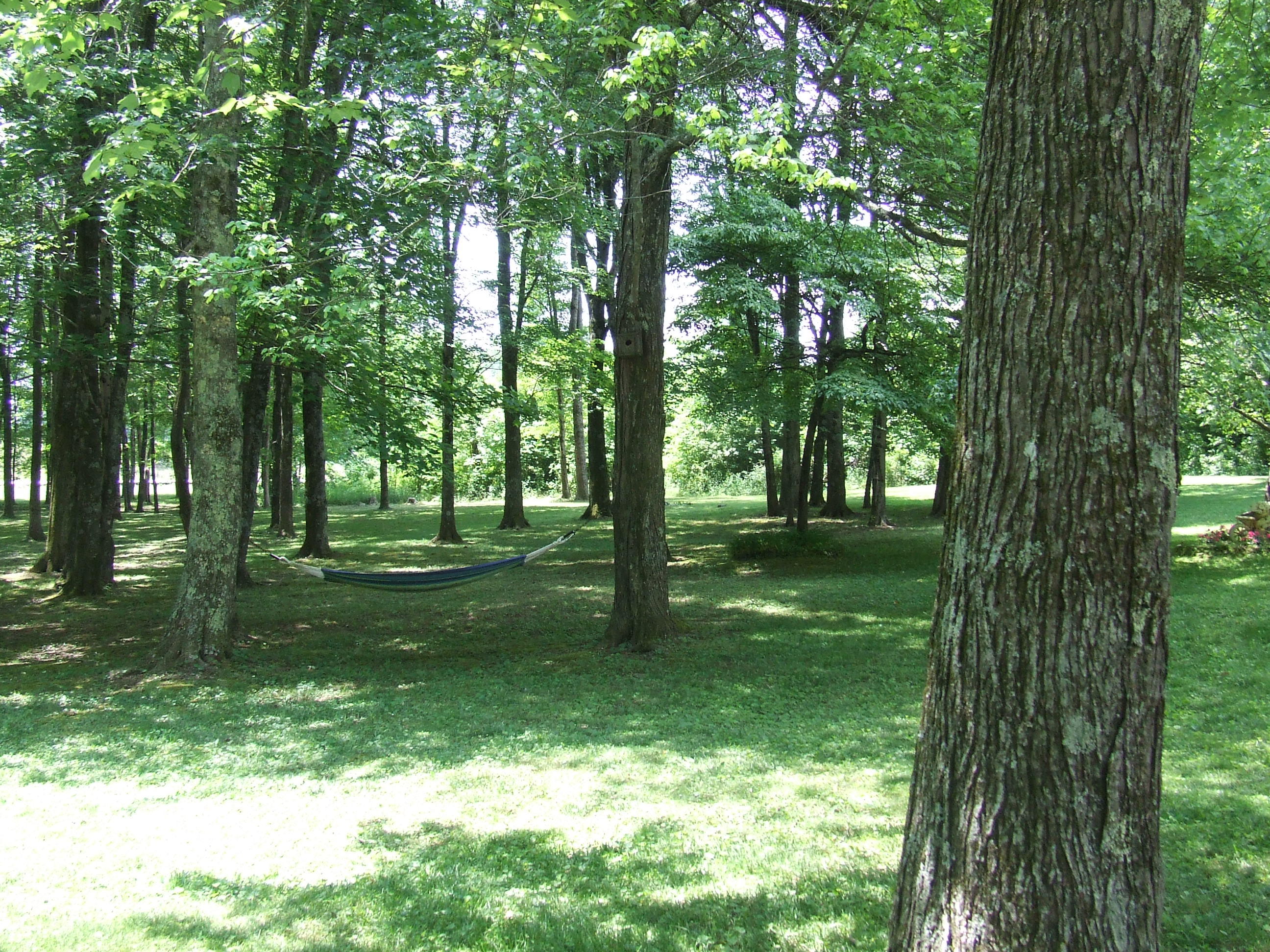 0 Ogden Road Dayton, TN 37321 - Photo 35 of 35 DSCF6776