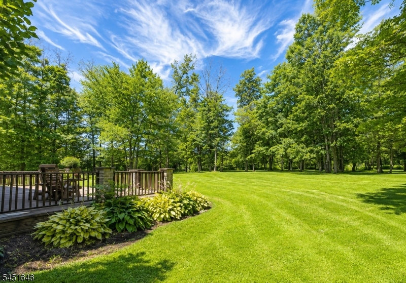 80 Plum Brook Road Flemington, NJ 08822 - Photo 4 of 46 Gallery Image 4