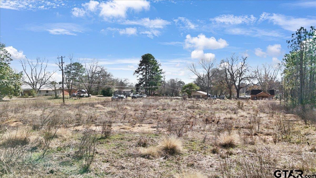 Lot 10 Ellis Street Rusk, TX 75785 - Photo 6 of 6 a view of a dry yard with trees