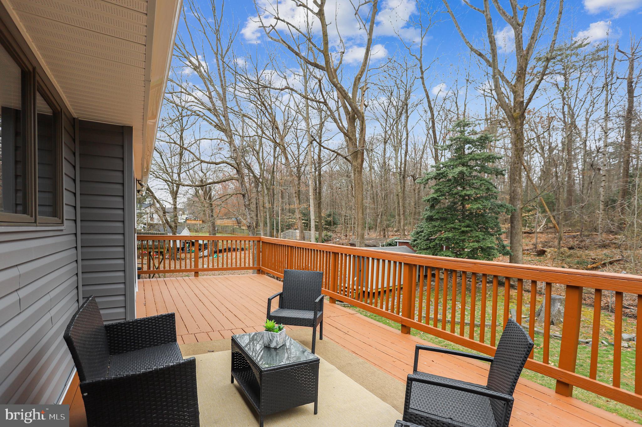 6818 Nashville Road Hyattsville, MD 20784 - Photo 16 of 40 Backyard