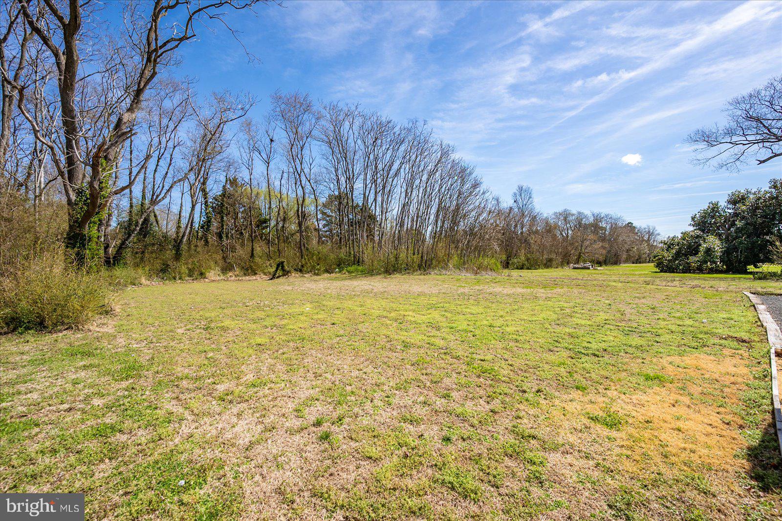 411 East Walnut Street Hebron, MD 21830 - Photo 52 of 54 a view of outdoor space with trees all around