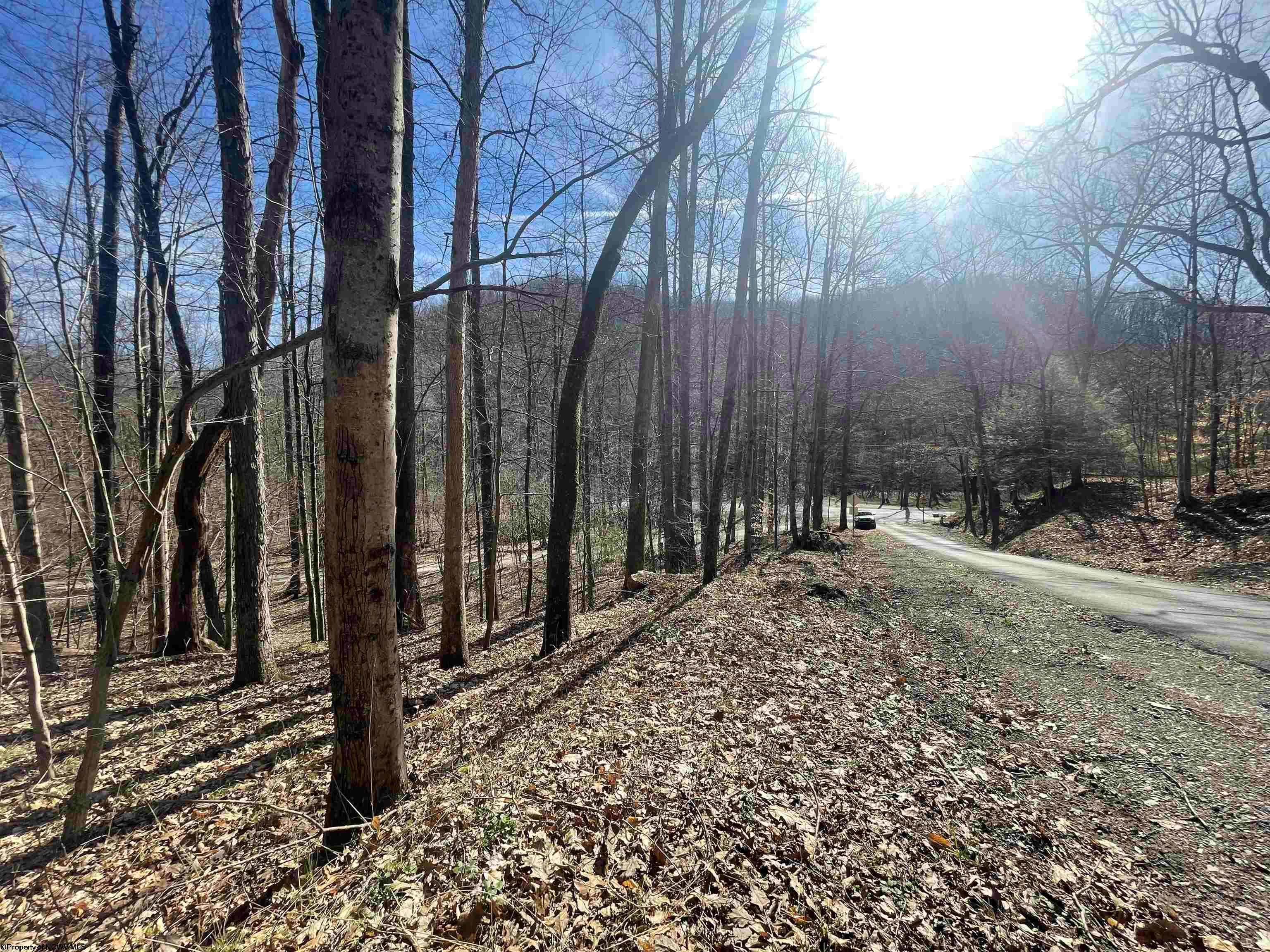Tbd Jack Hill Road Buckhannon, WV 26201 - Photo 42 of 50 Gallery Image 42
