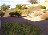 314 Ajax Peak Road Tucson, AZ 85737 - Photo 4 of 8