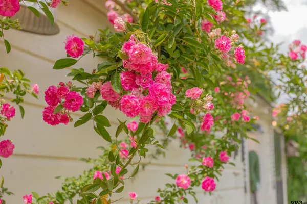 $224,000 | 212 Smith Street, Henderson, TX 75654