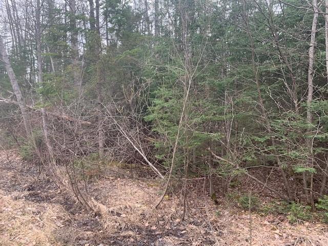 8 Old 8 Road Rhinelander, WI 54501 - Photo 5 of 5 Gallery Image 5