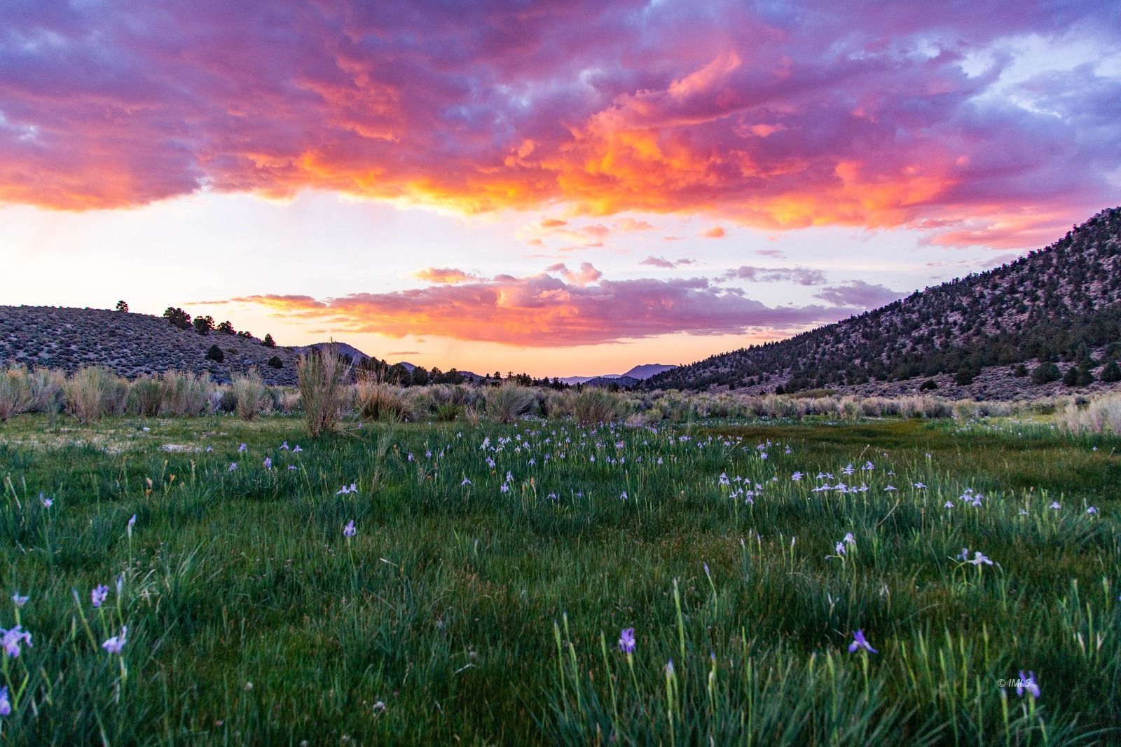 Benton Crossing Road Bishop, CA 93514 - Photo 1 of 25 a view of a lush green outdoor space with a lake view