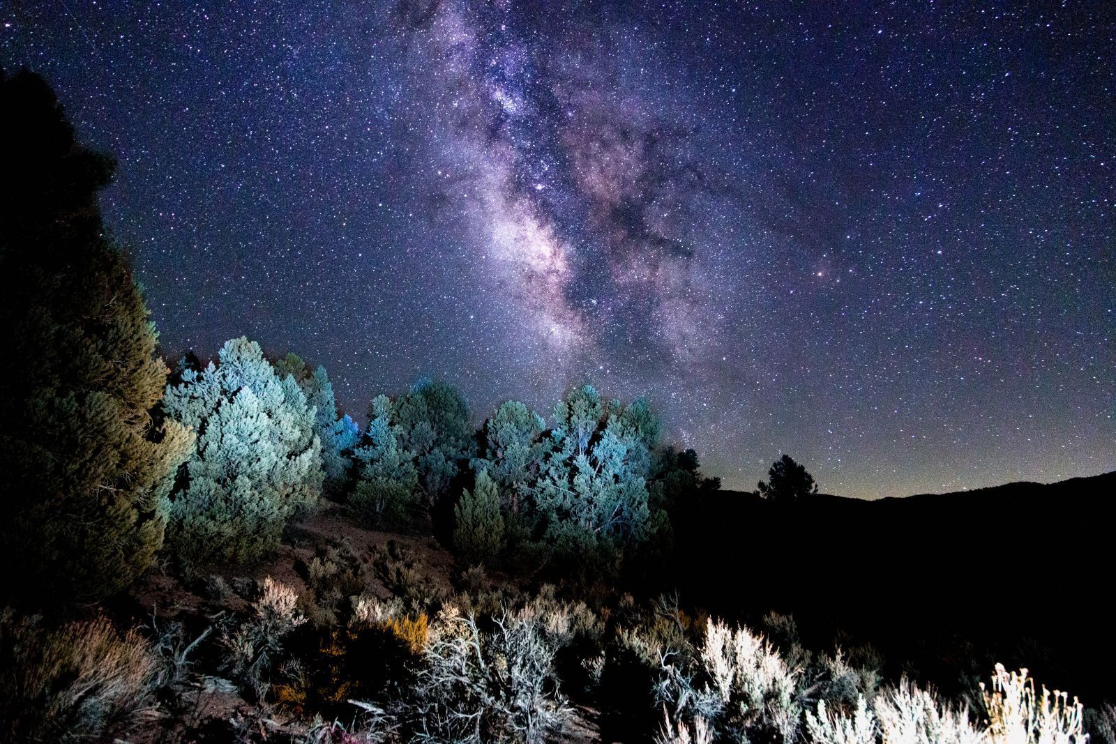 Benton Crossing Road Bishop, CA 93514 - Photo 12 of 25 a view of a garden