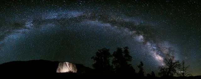 a view of a yard from a lake