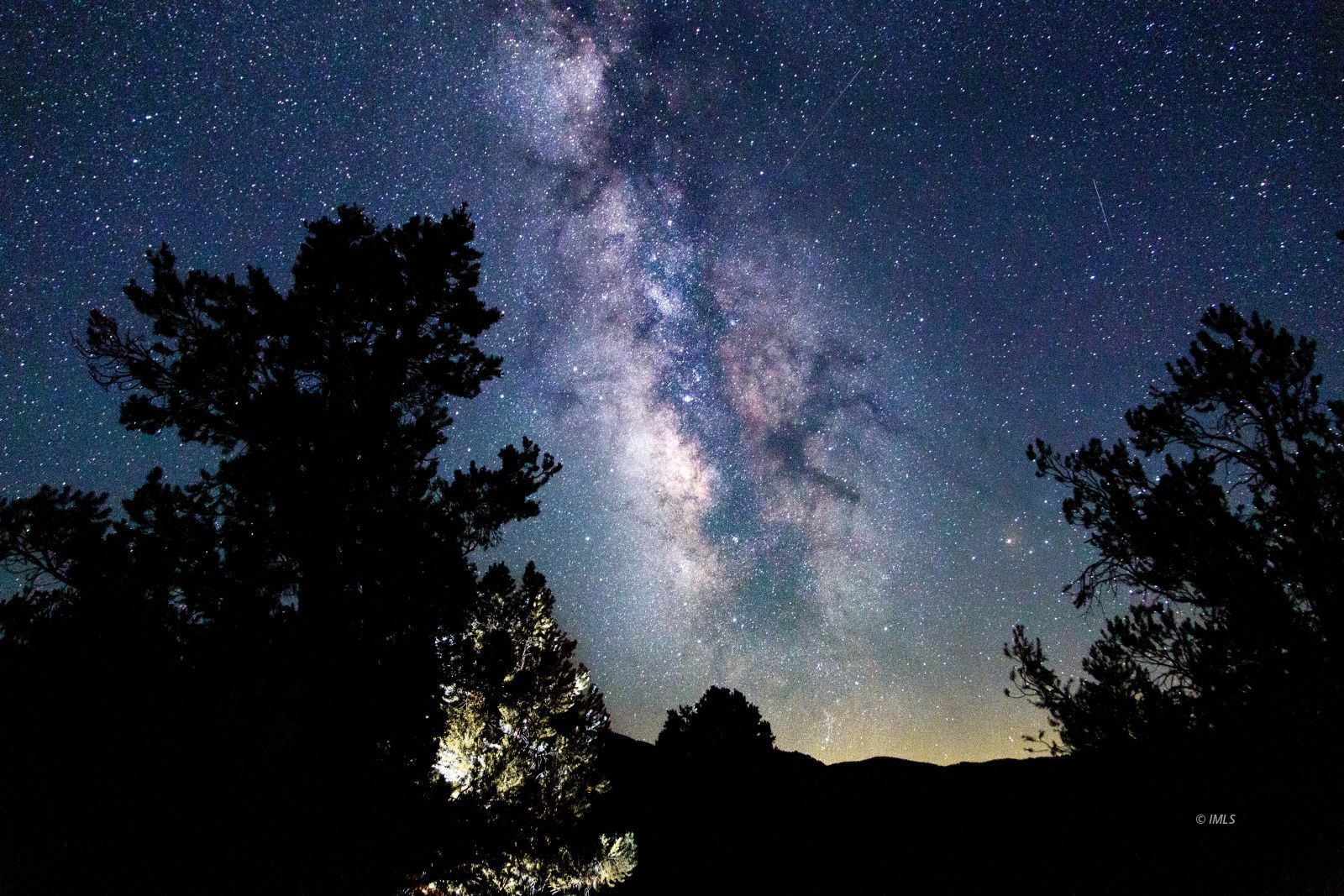 Benton Crossing Road Bishop, CA 93514 - Photo 17 of 25 a picture of a tree in a garden
