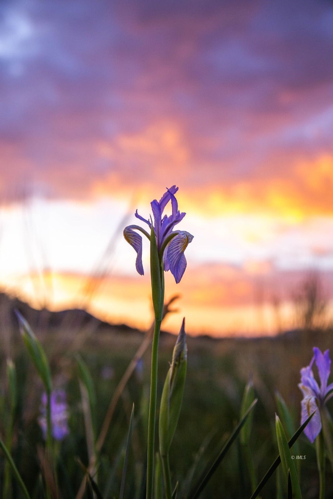 Benton Crossing Road Bishop, CA 93514 - Photo 18 of 25 a view of a lake