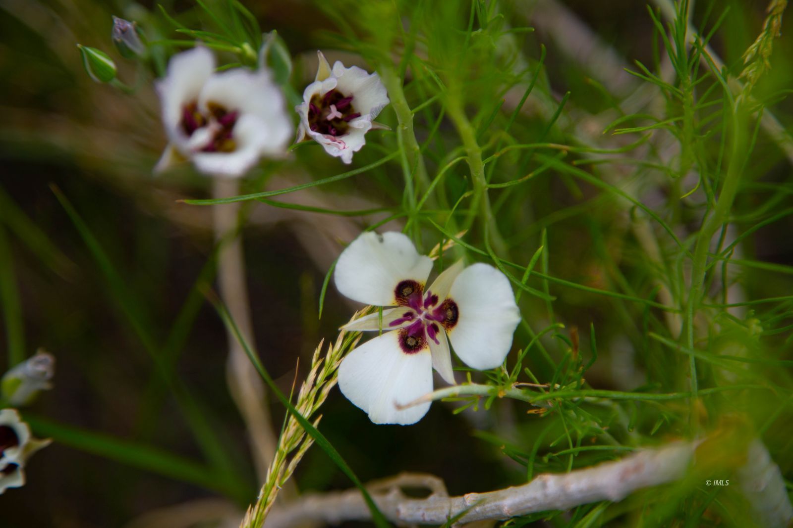 Benton Crossing Road Bishop, CA 93514 - Photo 19 of 25 a close up of a sink