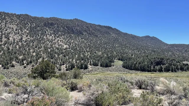 a view of a large mountain
