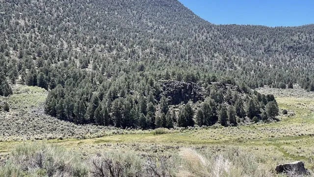 a view of a dry yard covered with snow in the background