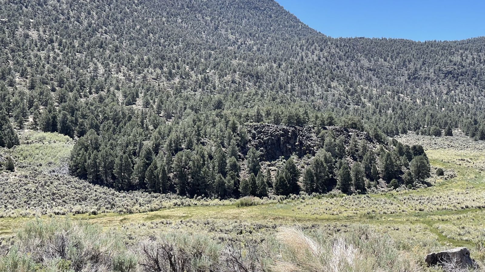 Benton Crossing Road Bishop, CA 93514 - Photo 5 of 25 a view of a dry yard covered with snow in the background