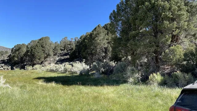a view of lake with green space
