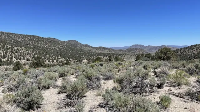 a view of a mountain range with trees in the background
