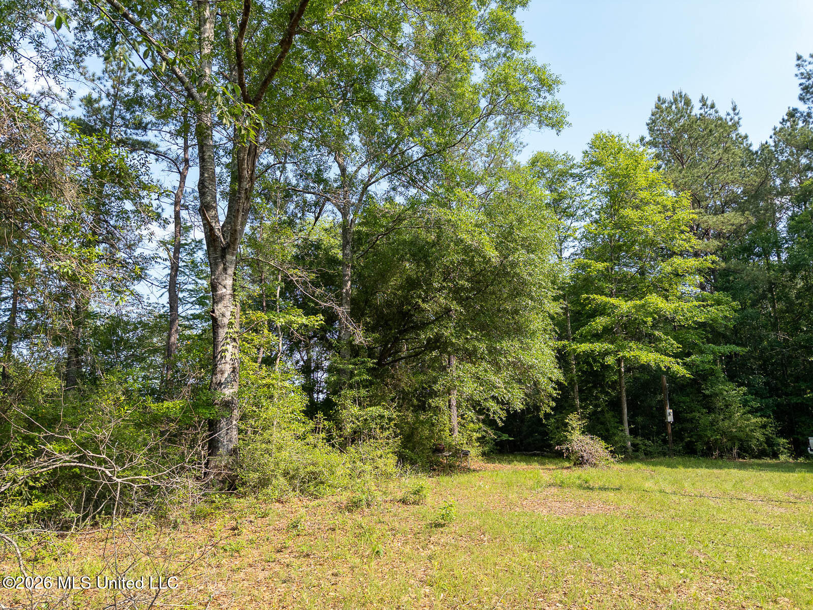 Perry Lake Road Beaumont, MS 39423 - Photo 12 of 16 10-acres-Perry-County-Thompson-Creek-12-