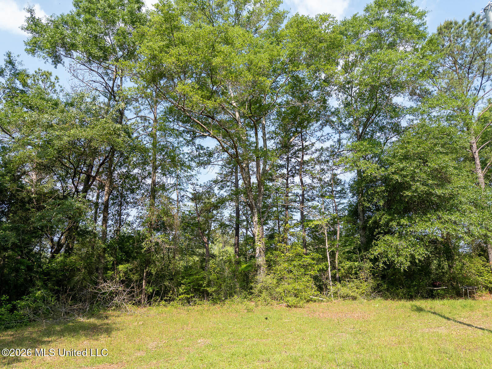 Perry Lake Road Beaumont, MS 39423 - Photo 14 of 16 10-acres-Perry-County-Thompson-Creek-14-