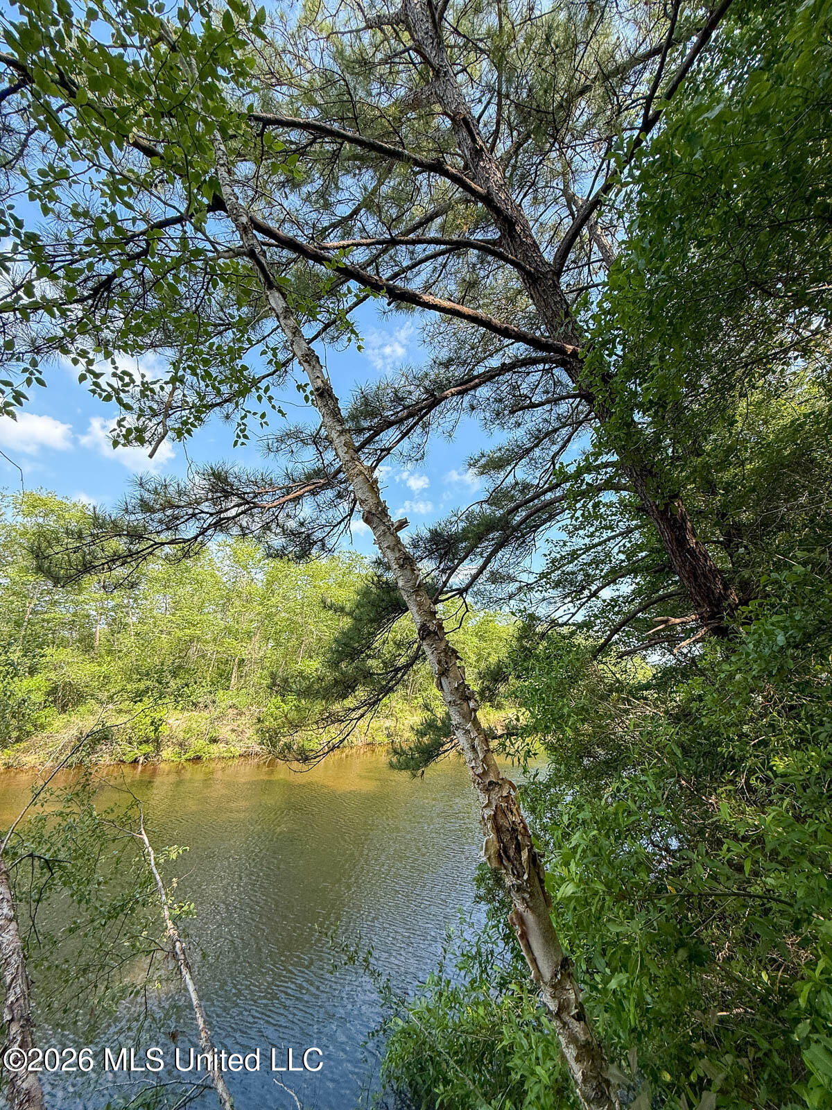 Perry Lake Road Beaumont, MS 39423 - Photo 16 of 16 10-acres-Perry-County-Thompson-Creek-16-