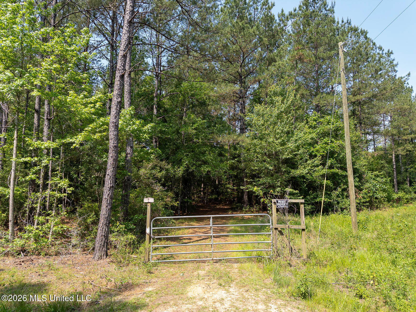 Perry Lake Road Beaumont, MS 39423 - Photo 5 of 16 10-acres-Perry-County-Thompson-Creek-5-g