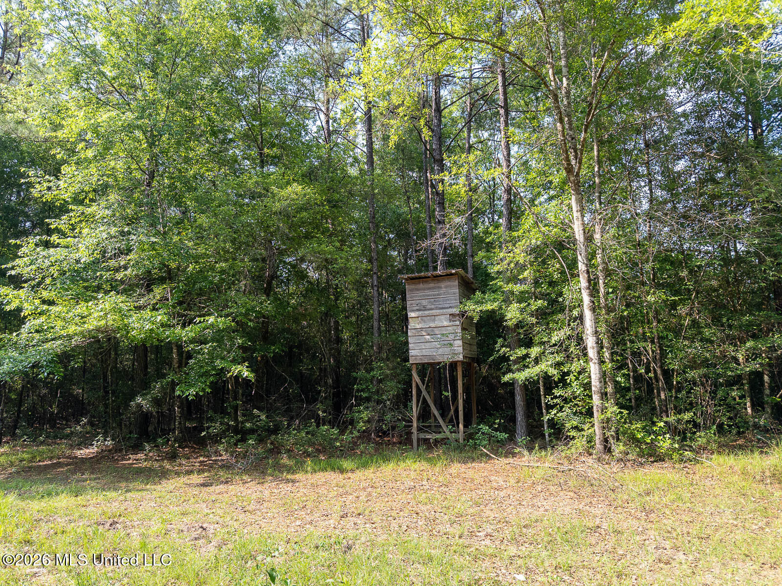 Perry Lake Road Beaumont, MS 39423 - Photo 7 of 16 10-acres-Perry-County-Thompson-Creek-7-d