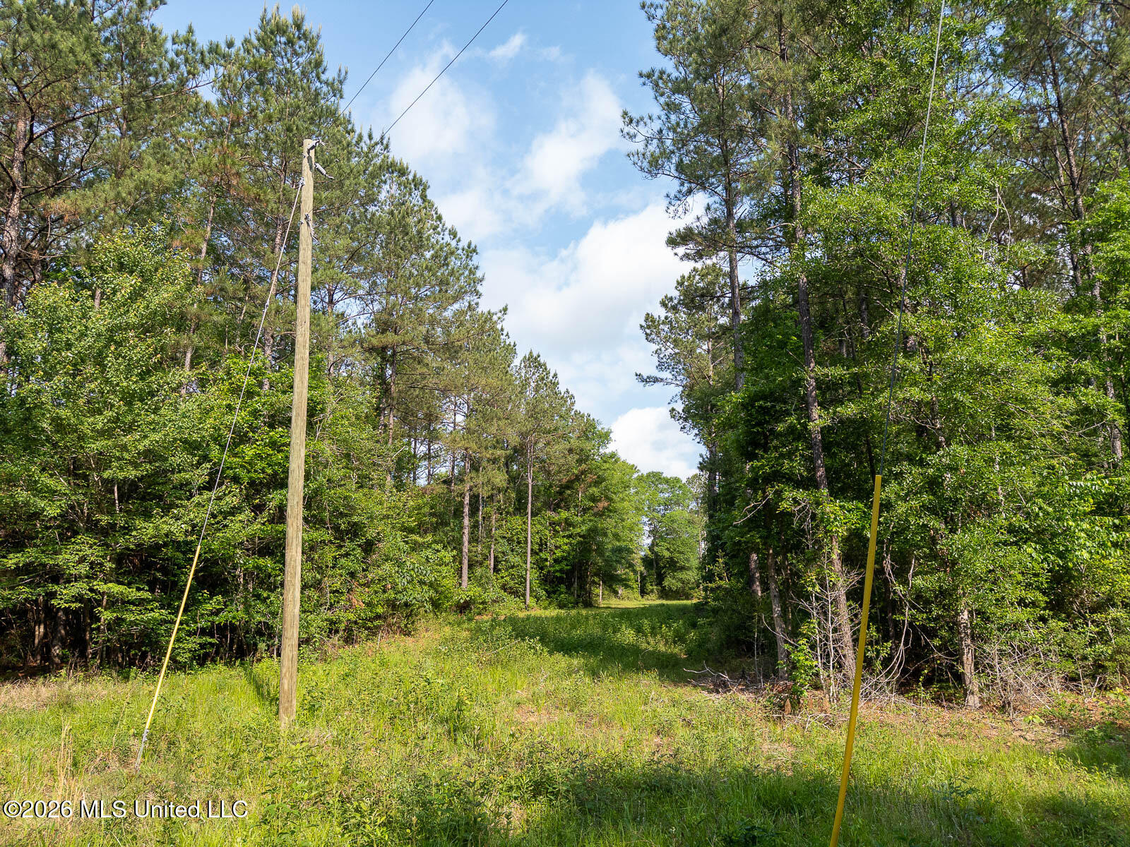 Perry Lake Road Beaumont, MS 39423 - Photo 8 of 16 10-acres-Perry-County-Thompson-Creek-8-p