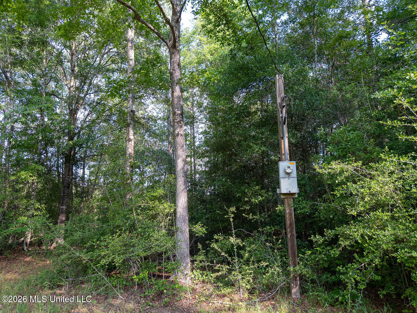 Perry Lake Road Beaumont, MS 39423 - Photo 10 of 16 10-acres-Perry-County-Thompson-Creek-10-