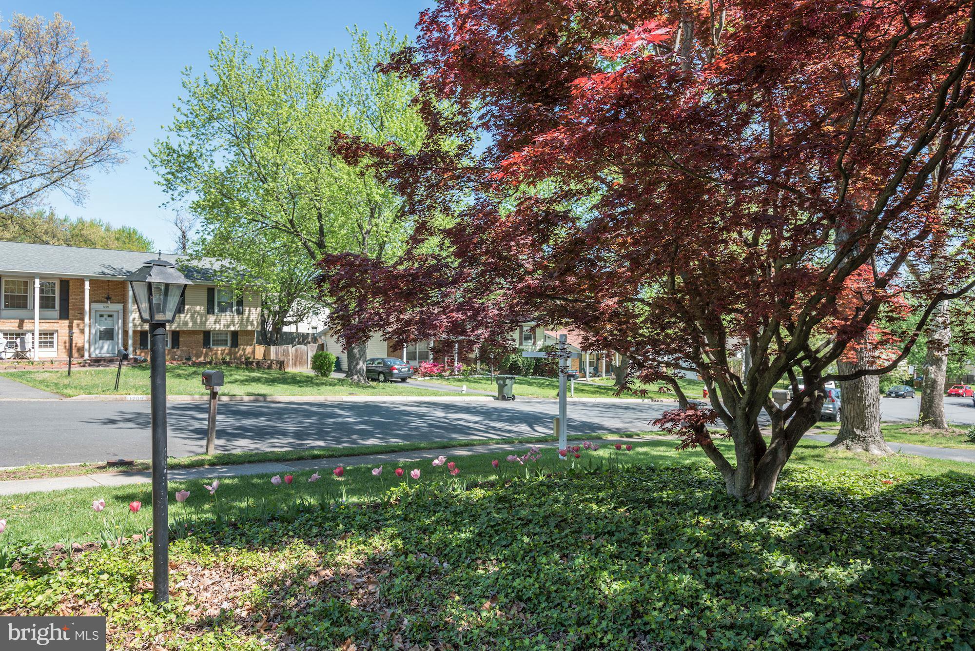 1208 East Jefferson Road Sterling, VA 20164 - Photo 4 of 26 Frontyard