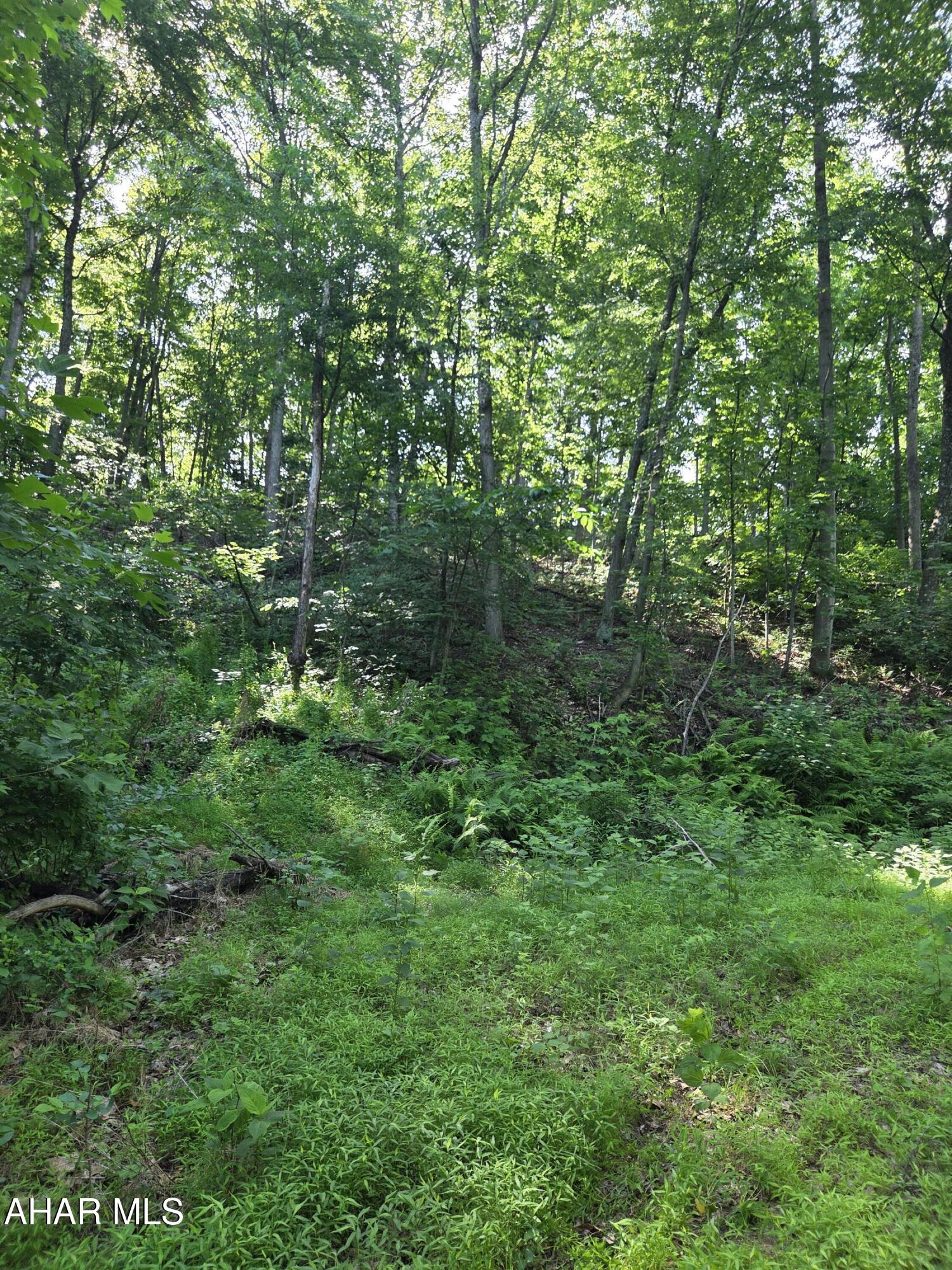 0 Sugar Ridge Road McVeytown, PA 17051 - Photo 14 of 19