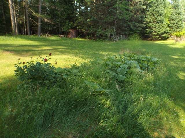 5405 Spafford Road Rhinelander, WI 54501 - Photo 14 of 28 Gallery Image 14