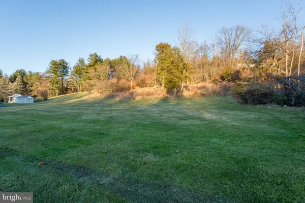 a view of a field with bench and trees