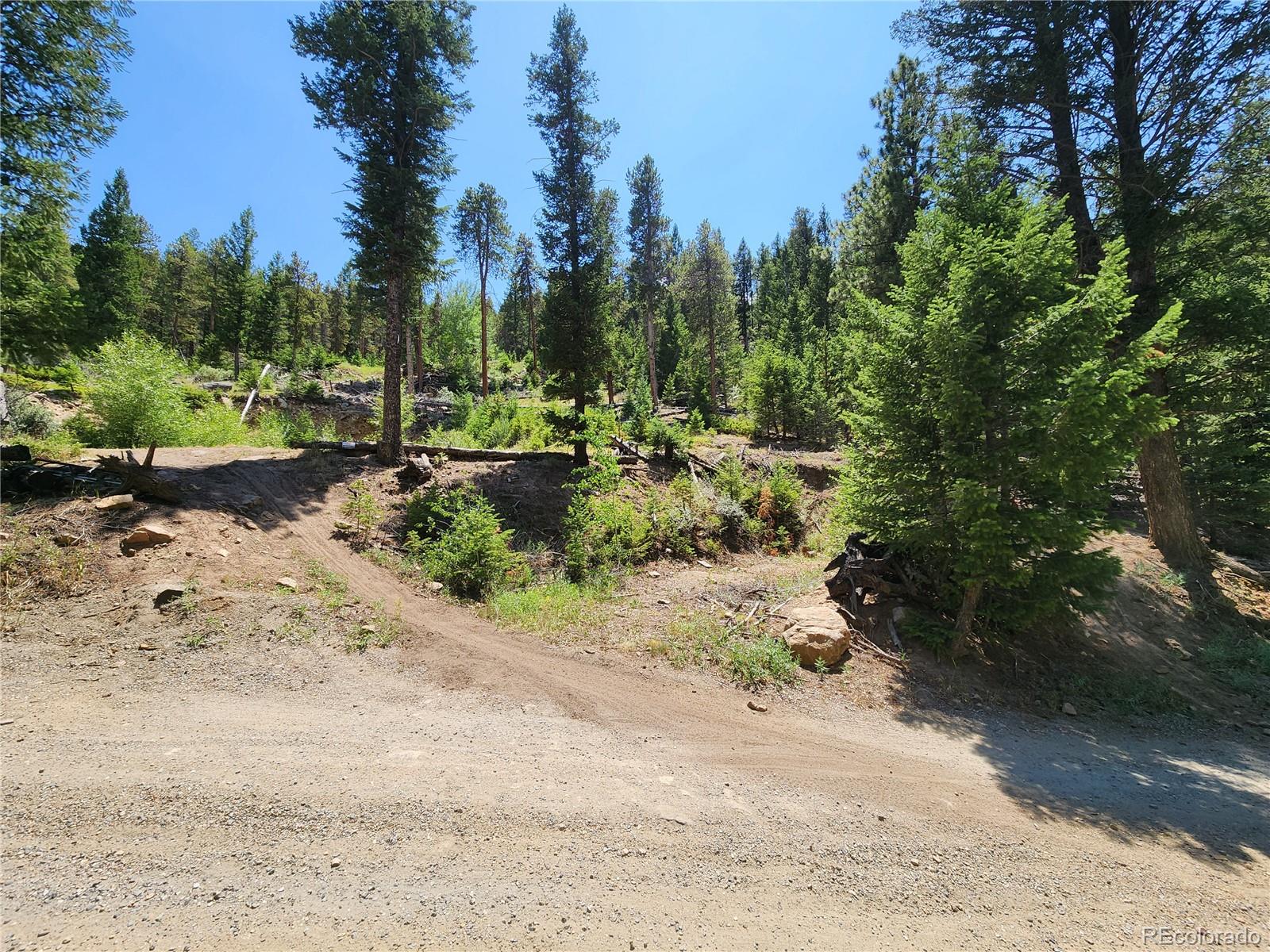 256 Capital Road Dumont, CO 80436 - Photo 23 of 50