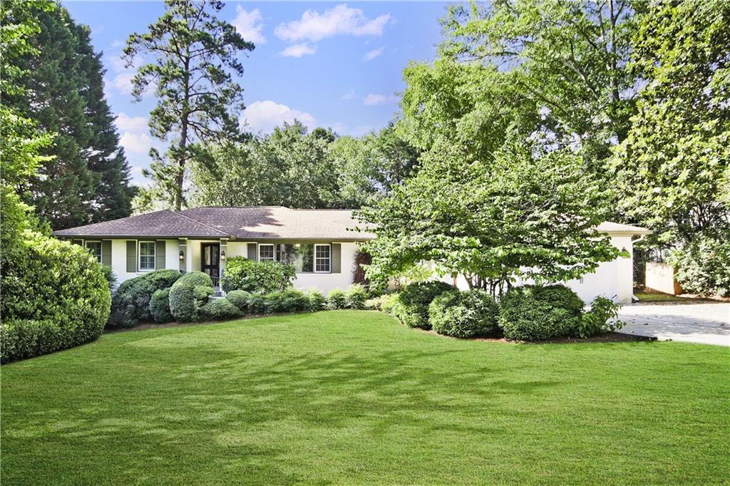 a view of a garden with a bench and plants