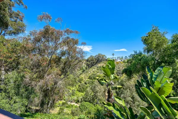 $1,999,000 | 1040 Johnson, San Diego, CA 92103