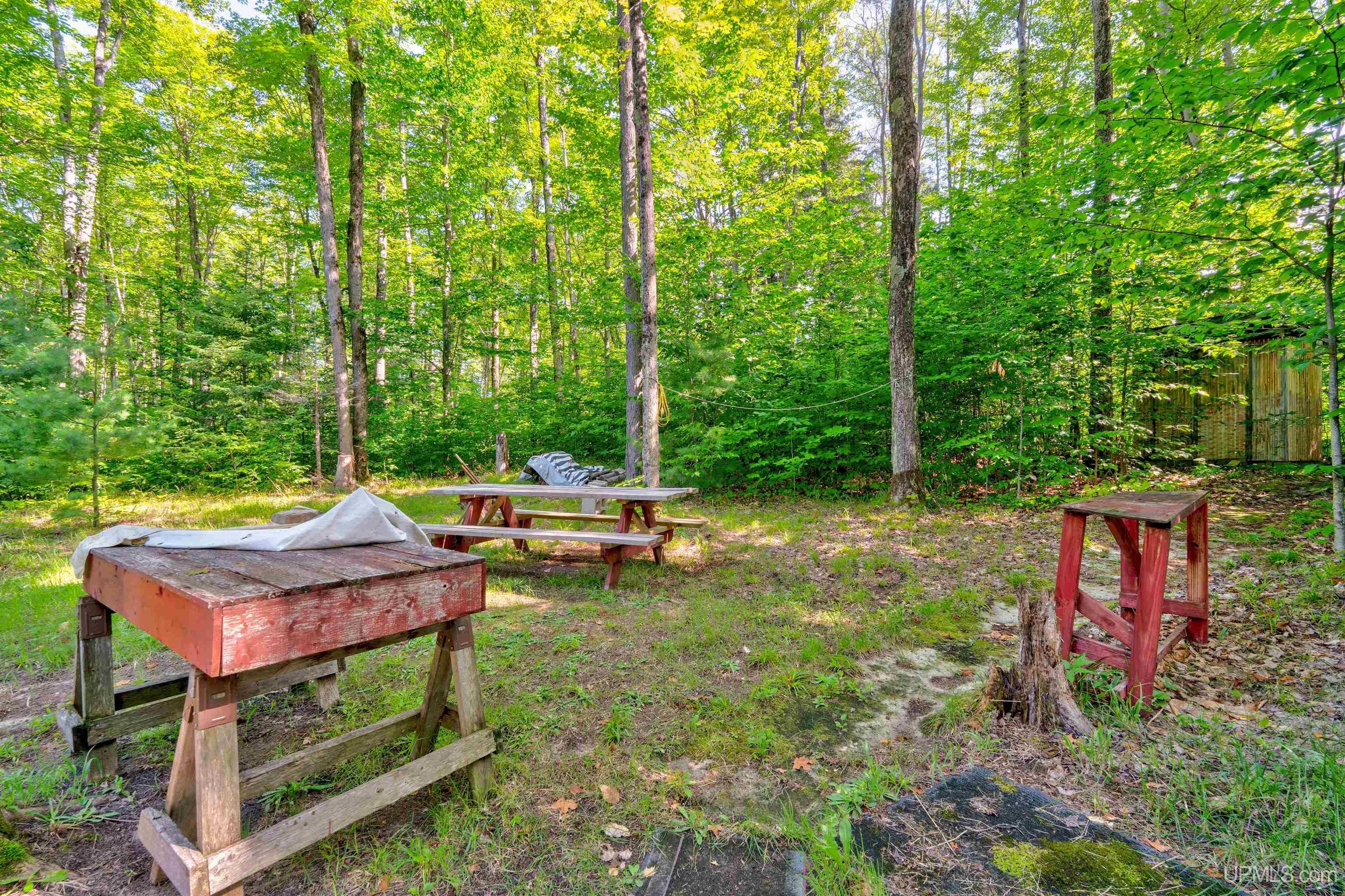 6590 County Road 445 Road Manistique, MI 49854 - Photo 15 of 30 Gallery Image 15