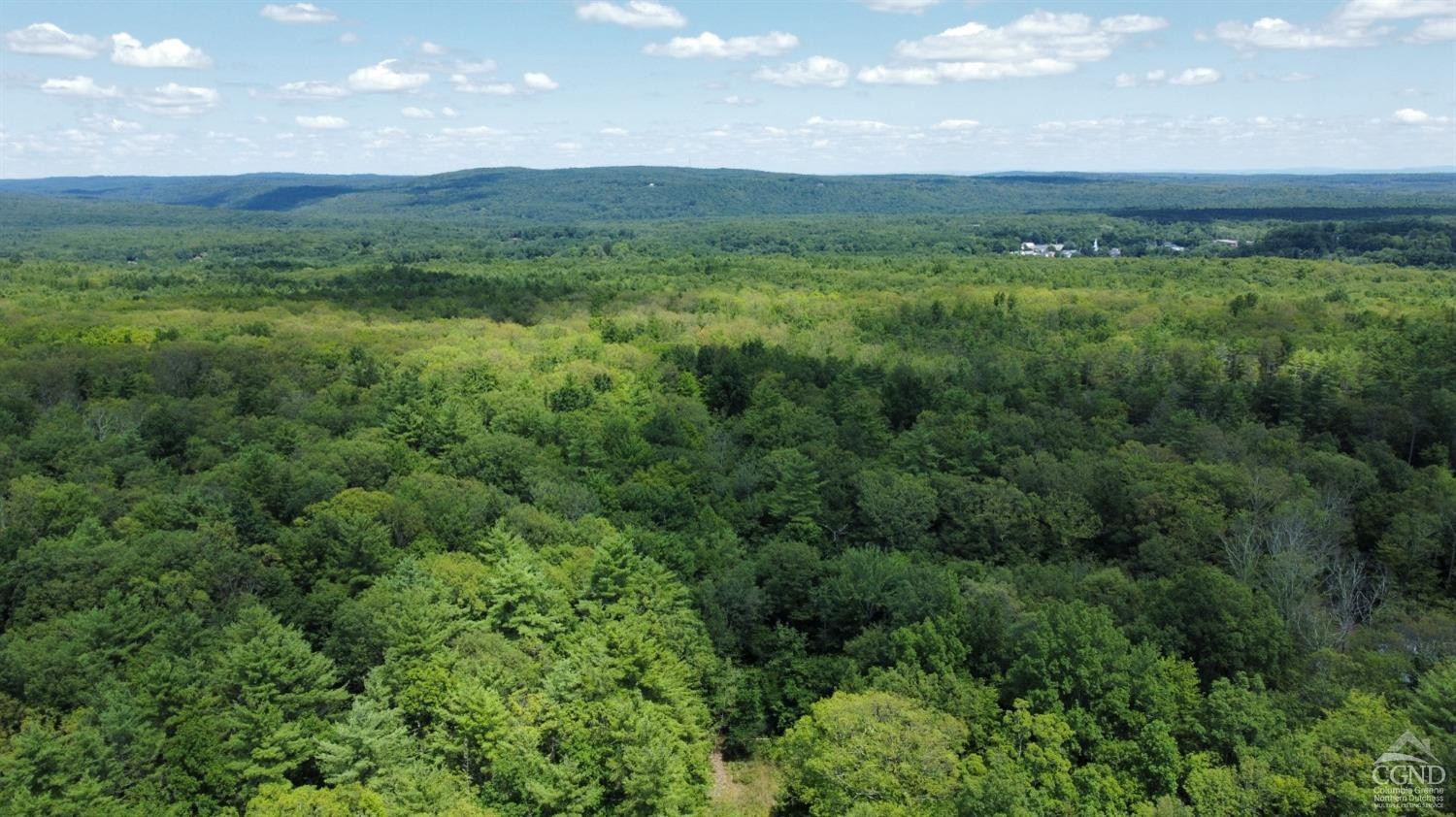 0 Vernal Butler Road Cairo, NY 12413 - Photo 1 of 10 a view of a lush green forest with lots of trees